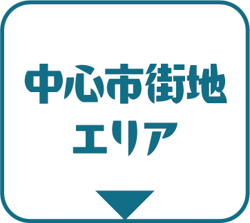 中心市街地エリア